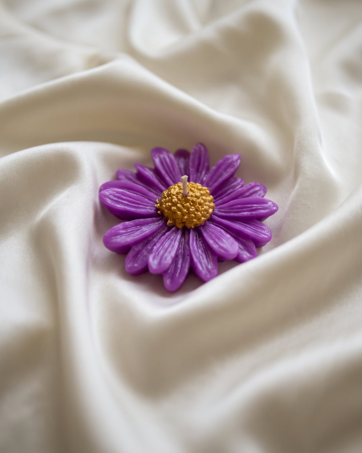 Daisy Sample Pack | Hand-Poured Soy Wax Candle Discovery Set