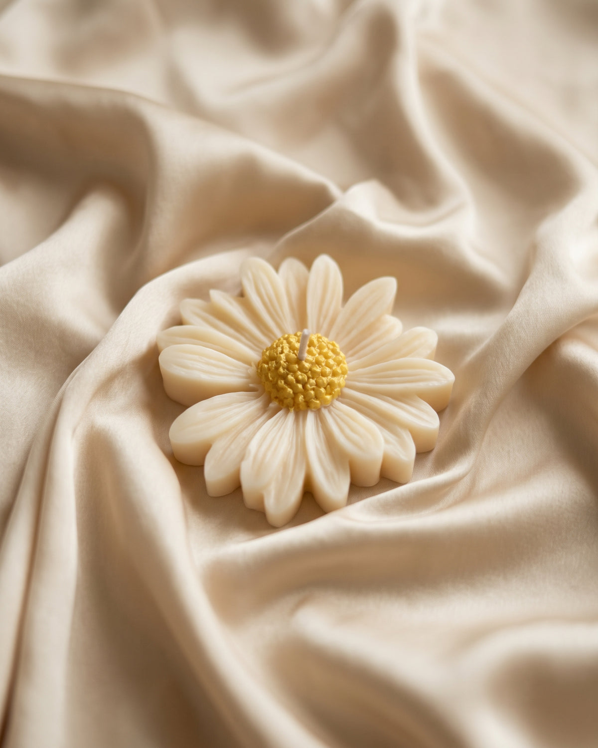 Daisy Sample Pack | Hand-Poured Soy Wax Candle Discovery Set